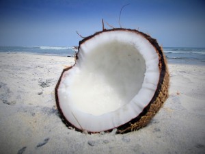 kokosolie, kokos, kokosvet, smeren met kokos, lifestyleblog, La Log