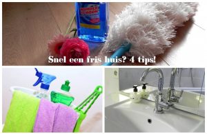 fris huis tips, schoonmaaktips, poetsen, schoonmaken, huis, blog, lifestyleblog, mamablog, La Log, snel schoonmaken