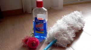 huisvrouw, Hellpling, schoonmaakhulp, poetsen, La Log, Lifestyleblog
