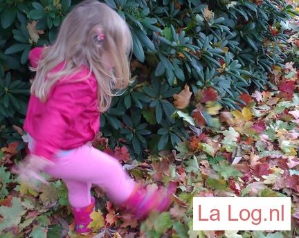 herfst, blog, kinderen, doen in de herfst, buiten, mama blog, lifestyle blog. mama-lifestyle blog, la log.nl